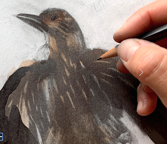 Camilla Boman Jensen illustrationer webshop - Eksempel på webshop for kunstner bygget med SHUP